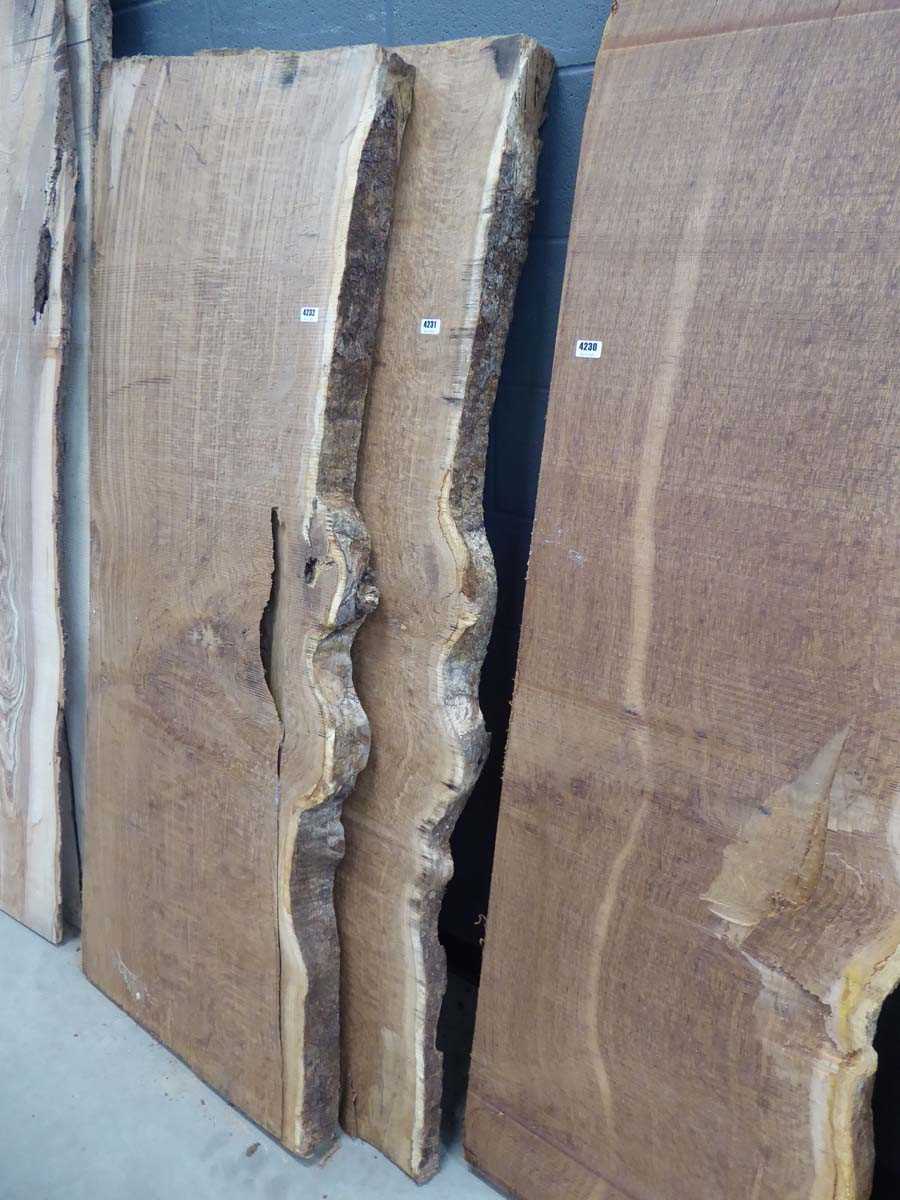 Lot 4231 - Brown oak waney edge board, approx. 500mm x...