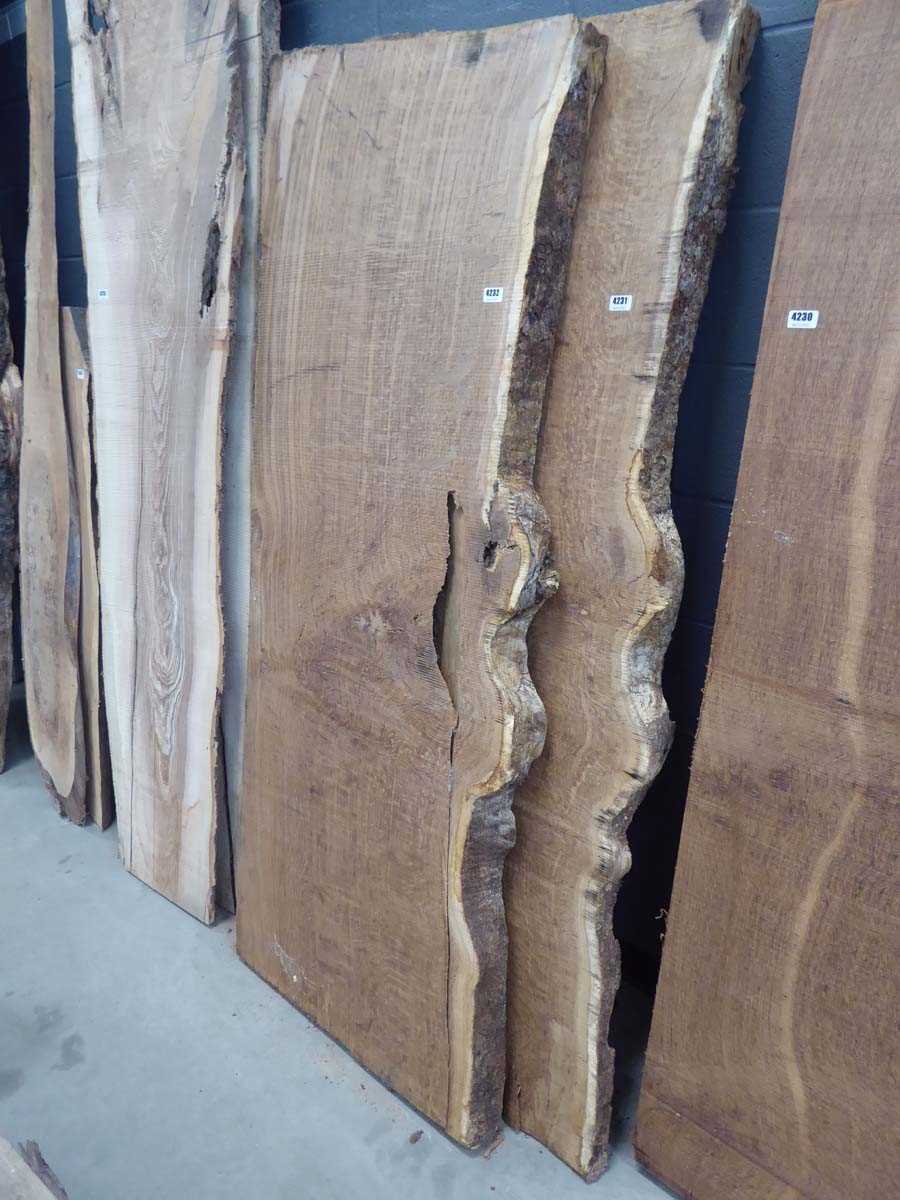 Lot 4232 - Brown oak waney edge board, approx. 500mm x...