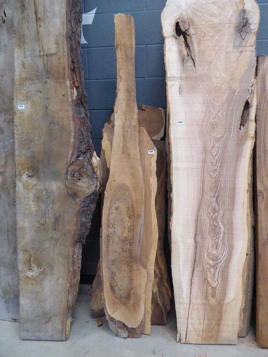 Lot 4234 - 5 pieces of waney edge yew
