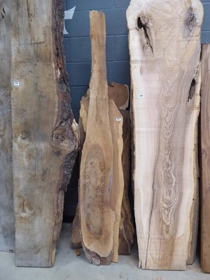 Lot 4234 - 5 pieces of waney edge yew