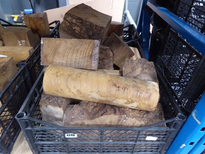 Lot 4240 - 3 crates of burr elm and elm wood turning blocks