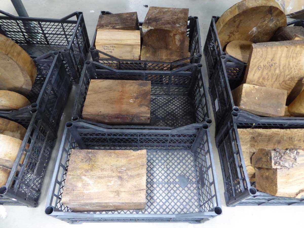 Lot 4248 - 3 crates of spalted beech wood turning blocks