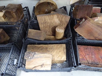 Lot 4249 - 3 crates of mainly burr oak wood turning blocks