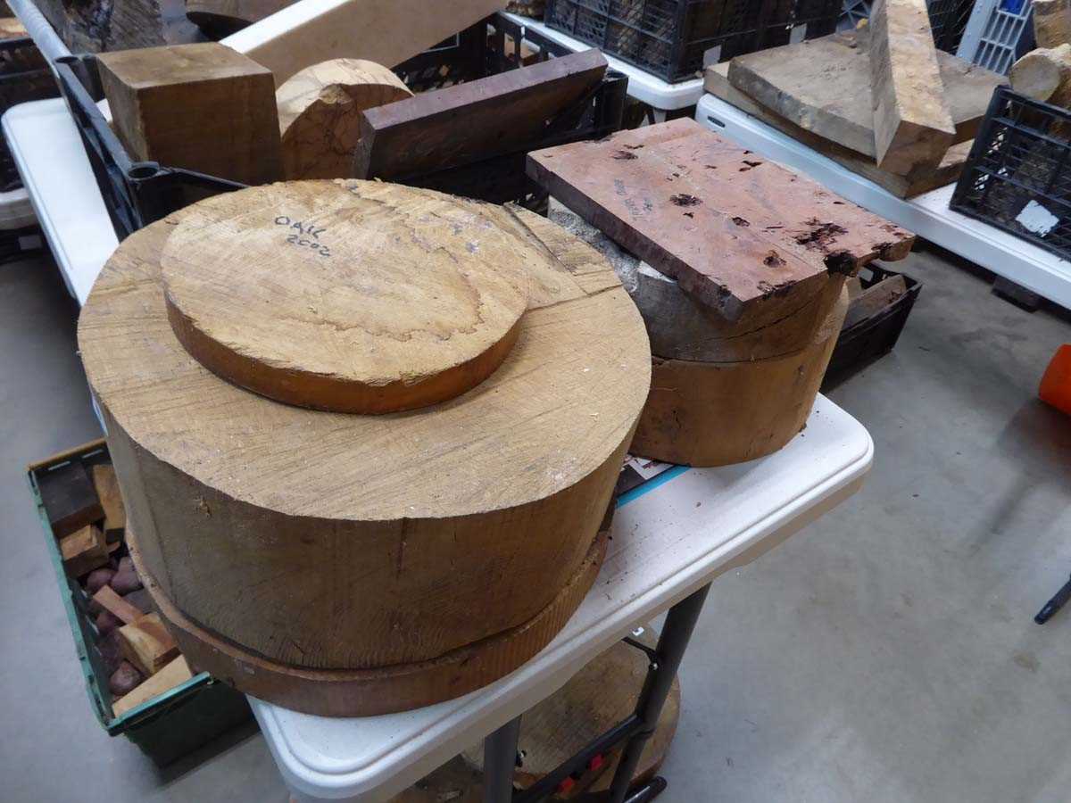 Lot 4253 - 5 burr oak and oak wood turning blocks