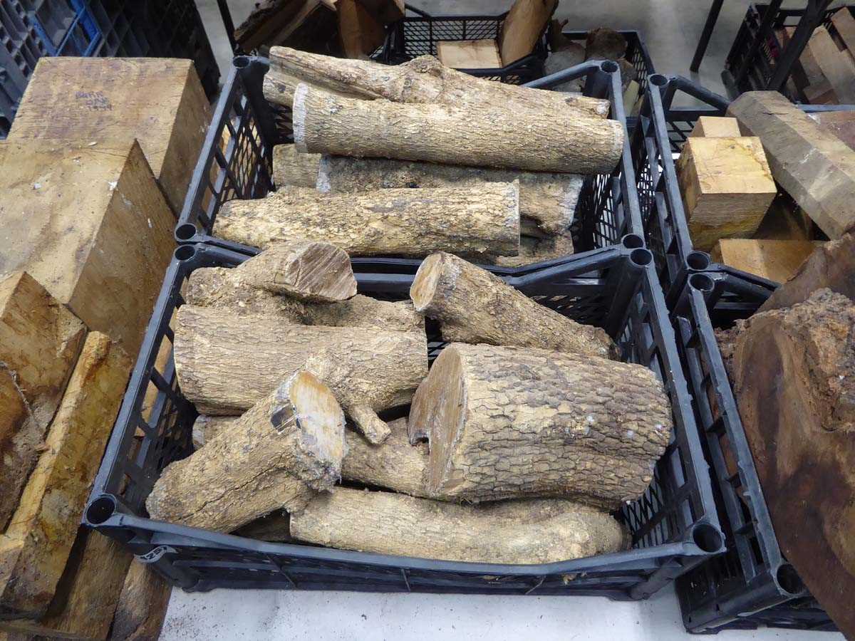 Lot 4257 - 2 crates of boxwood wood turning blocks