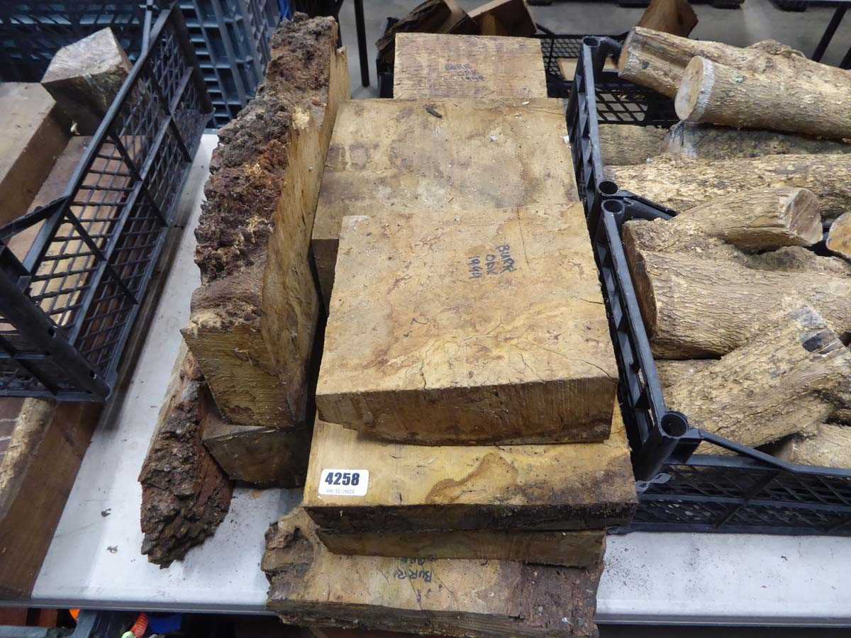 Lot 4258 - Approx. 11 pieces of burr oak