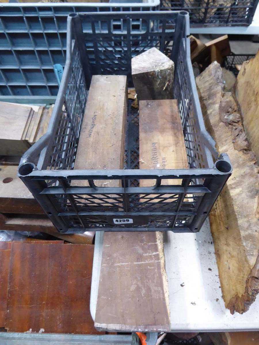 Lot 4259 - 4 pieces of laburnum