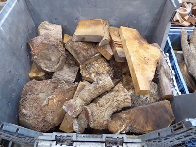 Lot 4266 - Large stillage of burr oak etc.