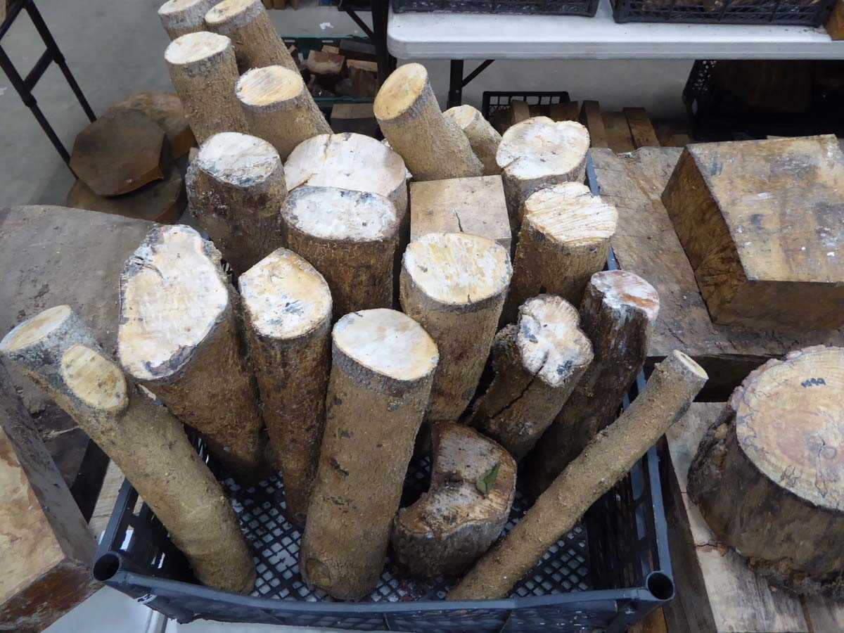 Lot 4269 - 2 crates of boxwood pieces