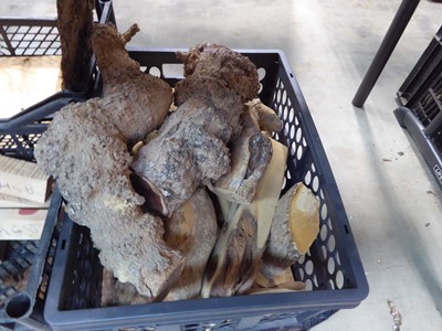 Lot 4276 - 5 crates of misc. of ash and other turning pieces