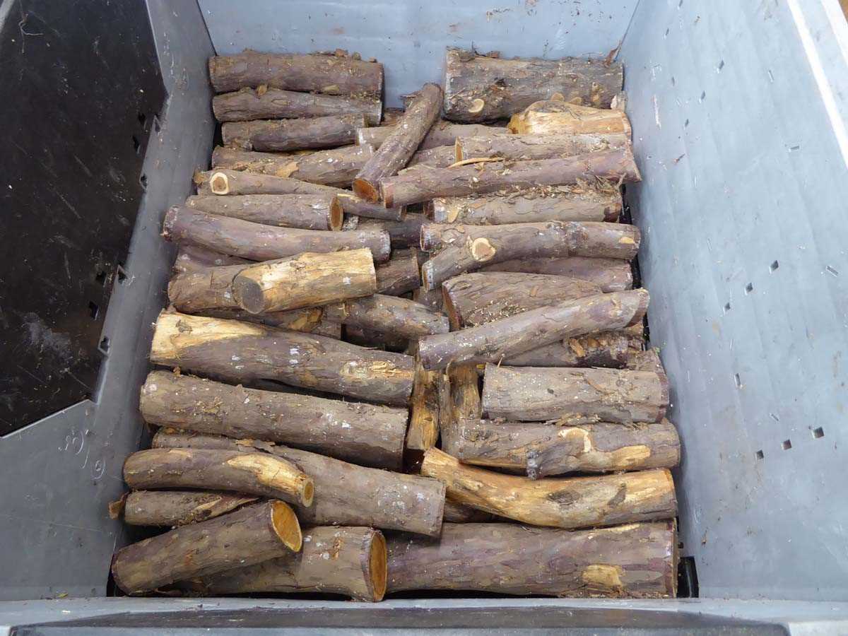 Lot 4278 - Large stillage of yew pieces for wood turning