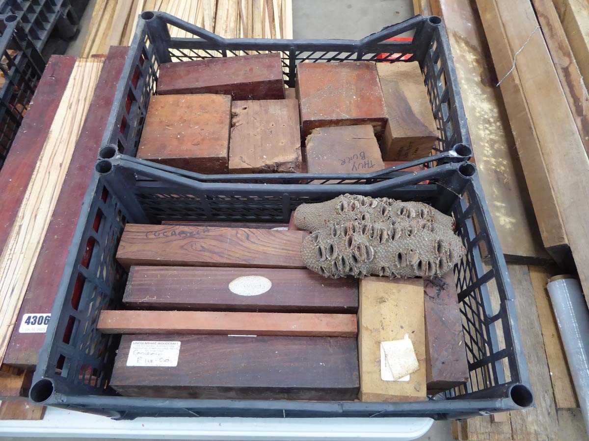 Lot 4299 - 2 trays of exotic hardwood wood turning blanks