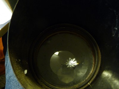 Lot 1224 - A pair of WWII German D.F. 10x80 artillery...