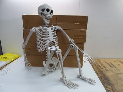 Lot 3658 - 5 Halloween life size skeletons