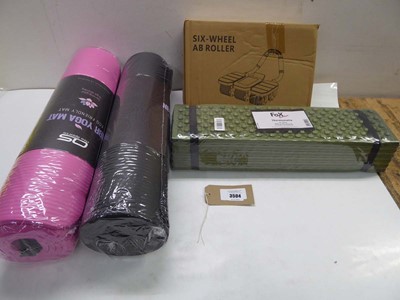 Lot 3504 - 2 yoga mats, 6 wheel ab roller and Thermomate