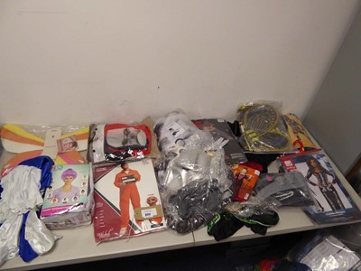 Lot 3717 - An assortment of fancy dress clothing and...