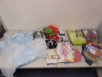 Lot 3718 - An assortment of fancy dress clothing and...