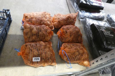 Lot 2129 - 6 1kg nets of daffodil bulbs
