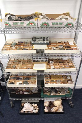 Lot 47 - A large collection of minerals, rocks, geodes...