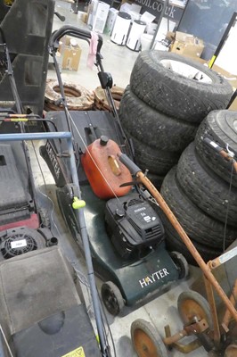 Lot 2462 - Hayter Harrier 56 self propelled petrol...