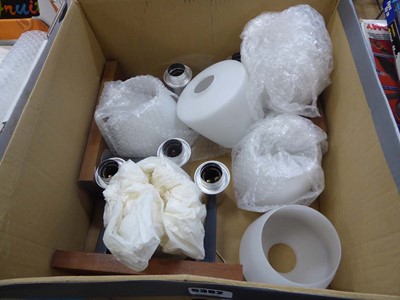 Lot 5382 - Box containing light fittings and shades