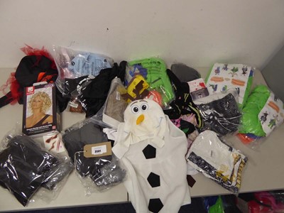 Lot 3501 - An assortment of fancy dress clothing &...
