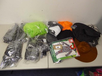 Lot 3502 - An assortment of fancy dress clothing &...