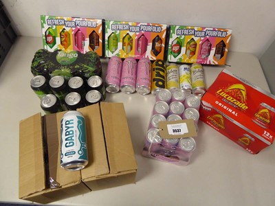 Lot 3537 - An assortment of canned drinks, includes...