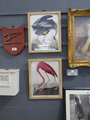 Lot 5056 - Pair of Audubon prints flamingo and heron