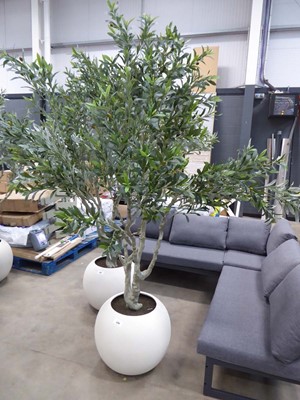 Lot 4246 - Artificial olive tree in white circular stand