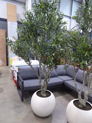 Lot 4247 - Artificial olive tree in white circular stand