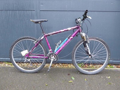 Lot 4028 - Caloi Comp ST purple mountain bike