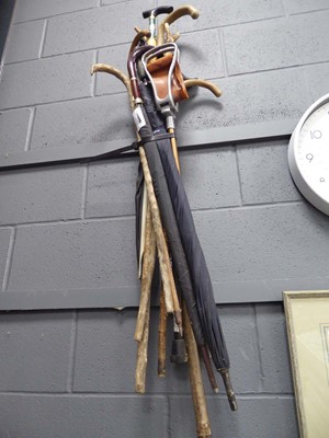 Lot 5440 - Bundle of walking sticks and umbrellas