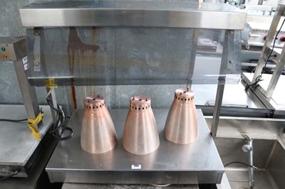 Lot 264 - Two electric bench top heated gantries....