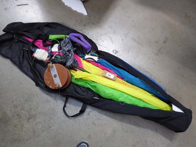 Lot 3539 - Kite, lines, accessories and storage bag