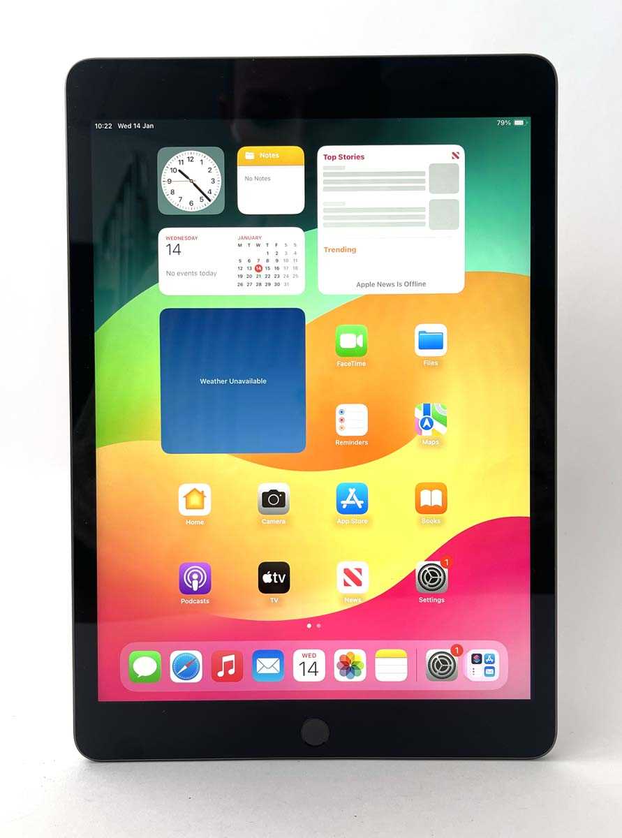 Lot iPad 9th Gen 256GB Space Grey