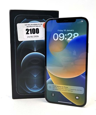 Lot iPhone 12 Pro Max Pacific Blue with box and cable