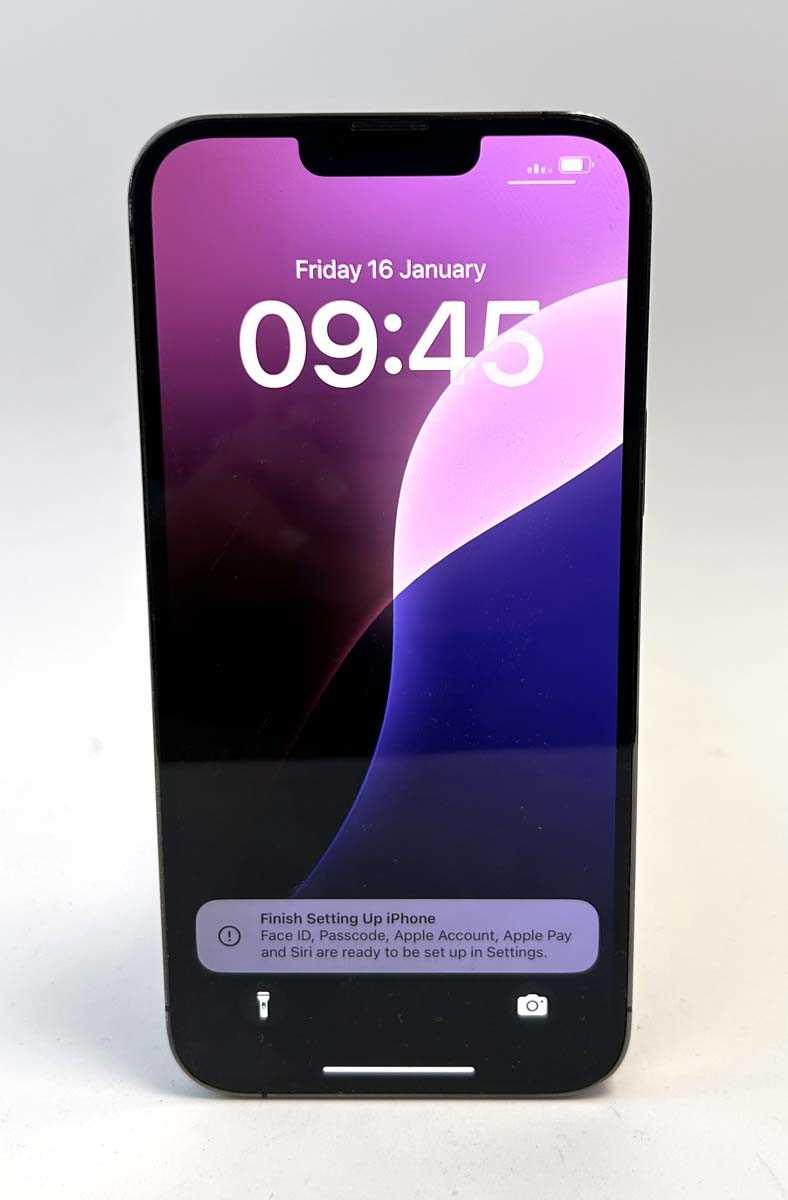 Lot iPhone 13 Pro Max 256GB Graphite