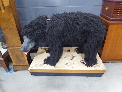 Lot 5022 - Figure of bear