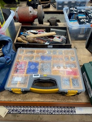 Lot 4430 - Two organising boxes with screws and rawl...