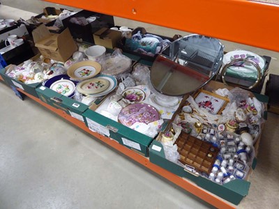 Lot 5391 - Under bay with a large qty of fuchsia...