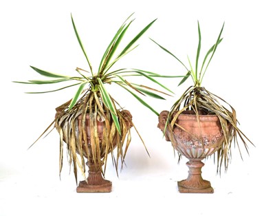 Lot 28 - A pair of terracotta planters with grotesque...