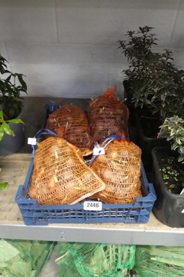 Lot 2446 - 4 1kg nets of Narcissus bulbs