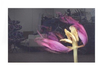 Lot 221 - Allan Forsyth (contemporary photographic...