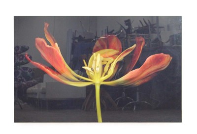 Lot 223 - Allan Forsyth (contemporary photographic...