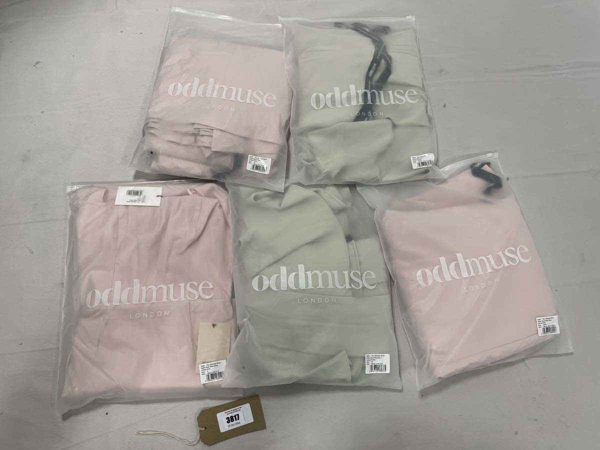 Lot Selection of OddMuse clothing