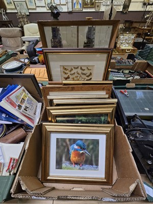 Lot 426 - Tray of framed and glazed prints of nature...