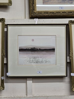 Lot 46 - Limited edition coloured etching 68/150 -...